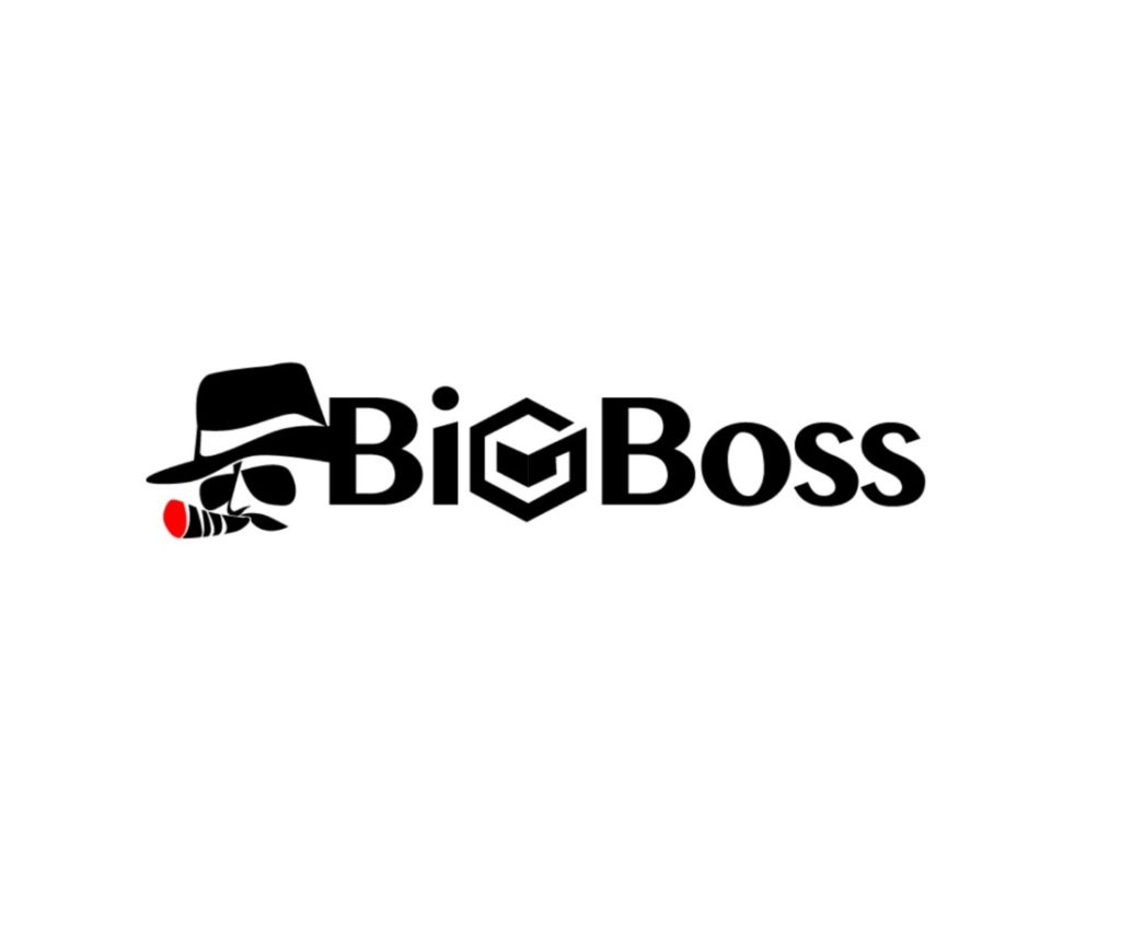 BigBoss Logo