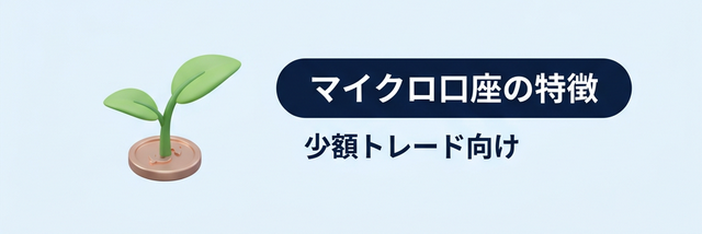 マイクロ口座の特徴の図解